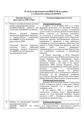 Отчёт комитета  РНК ICOLD за 2025 год